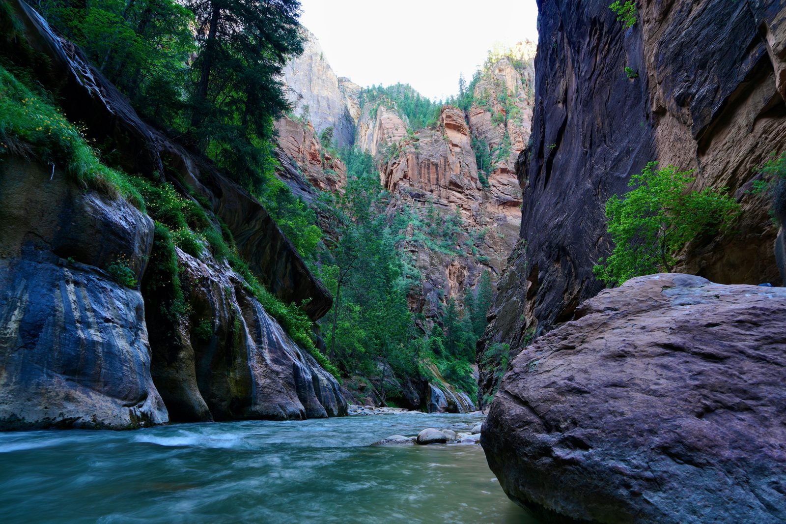 The Virgin River flowing through the Zion Narrows, a deep red-rock canyon in southern Utah.